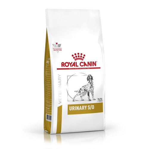 Royal Canin URINARY S/O 2 kg - MyStetho Veterinary