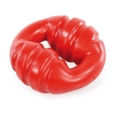 Swisspet Roof anneau, ø12.5x5.5cm - MyStetho Veterinary