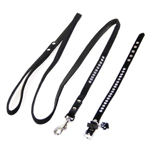 Trendline Set Azure: collier & laisse pour chiens & chats - MyStetho Veterinary