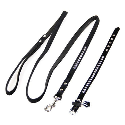 Trendline Set Azure: collier & laisse pour chiens & chats Delphin-Amazonia 